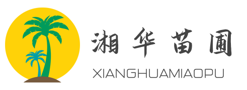 湖南長(zhǎng)沙湘華苗圃
