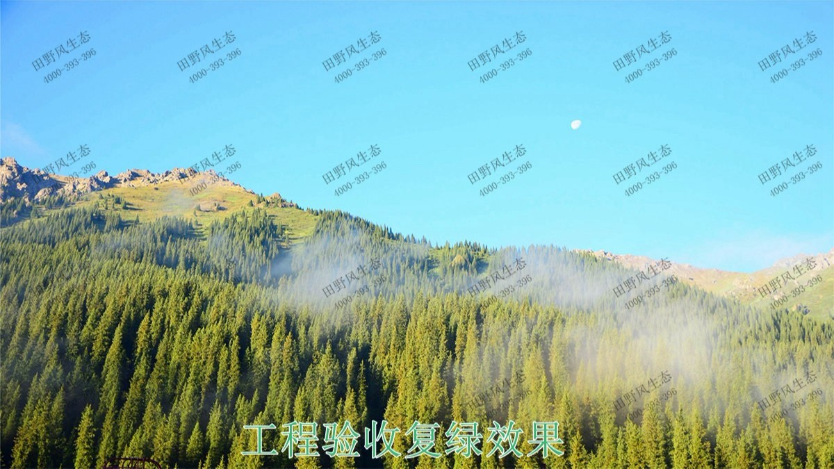生態(tài)修復(fù)，綠植租擺，景觀綠化，綠化養(yǎng)護(hù)，邊坡修復(fù)